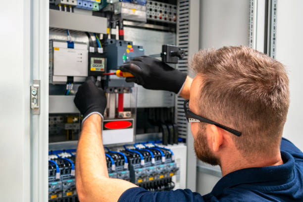 Best Electric Panel Repair  in Stanley, VA